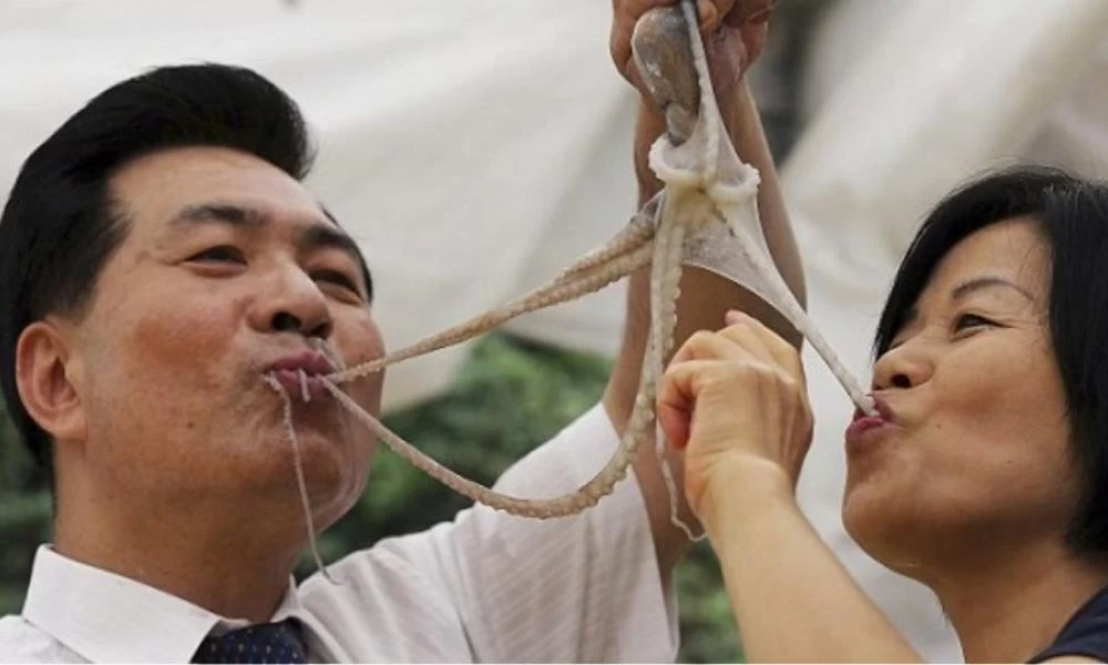 Αηδιαστικό! Σε αυτή τη χώρα τρώνε το χταπόδι ολοζώντανο